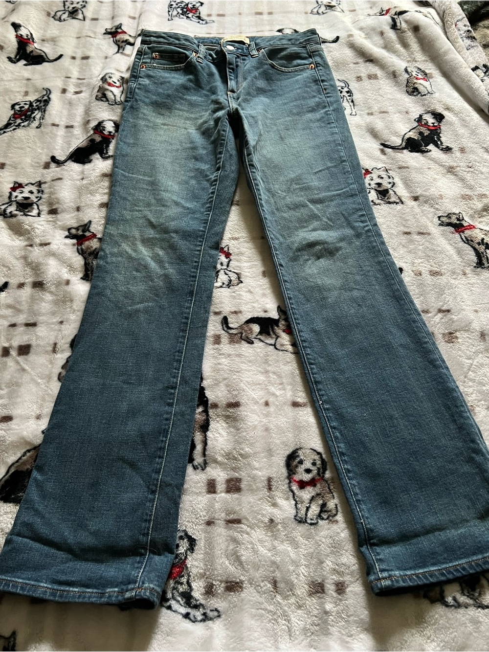 GAP Medium Blue Flare-Leg Jeans